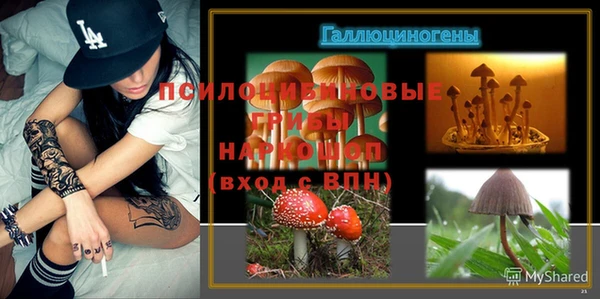 герыч Новодвинск