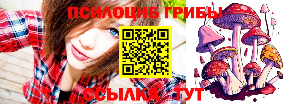 Галлюциногенные грибы Psilocybe Южноуральск