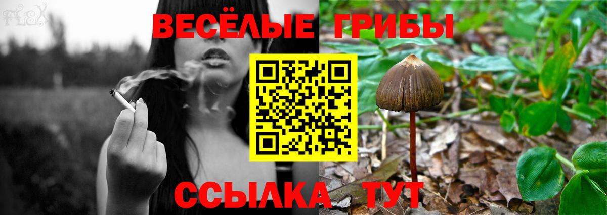 Южноуральск  Галлюциногенные грибы Magic Shrooms  Вход с VPN 